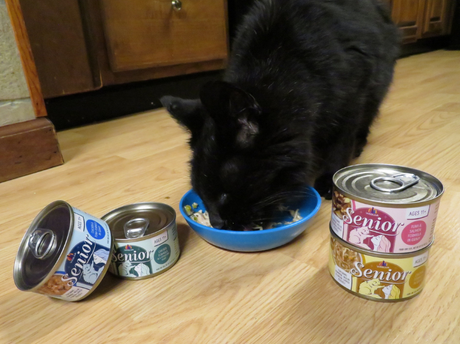How Weruva Senior and Wx Phos Focused Changed Mister Andy’s Life