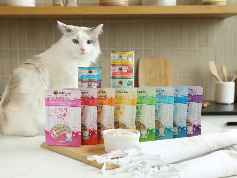 Why the Color of Your Cat's Paté Matters