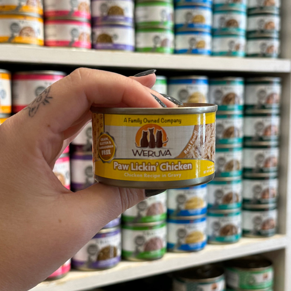 Cat Foods Low in Phosphorus: Optimal Choices for Your Feline