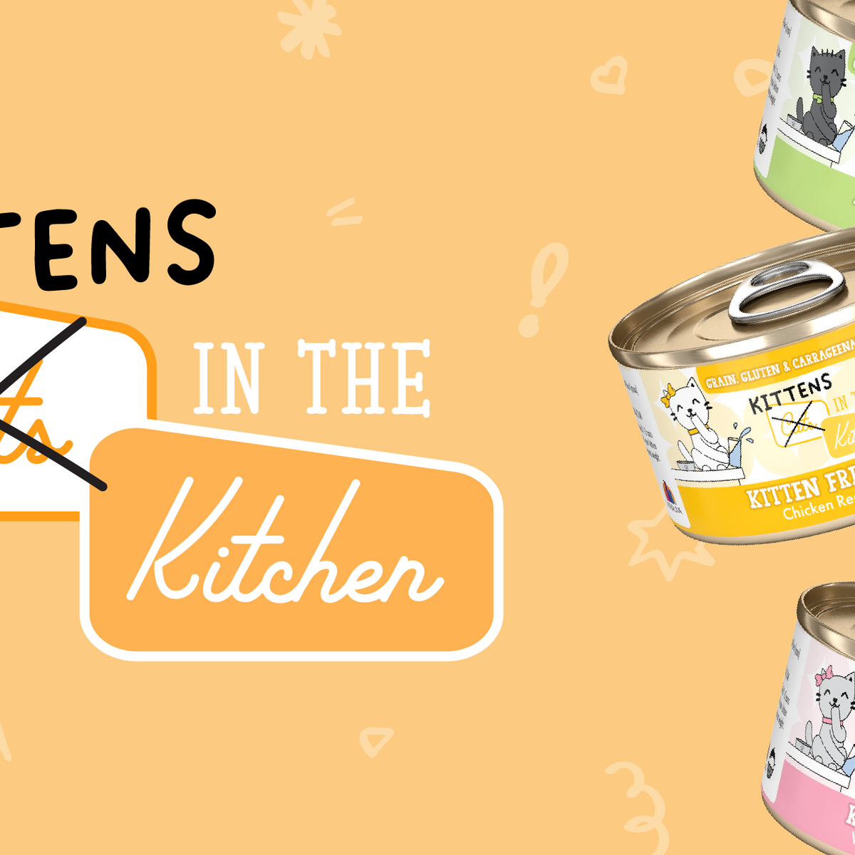 Delicious Wet Foods For Your Kitten Carnivore Weruva