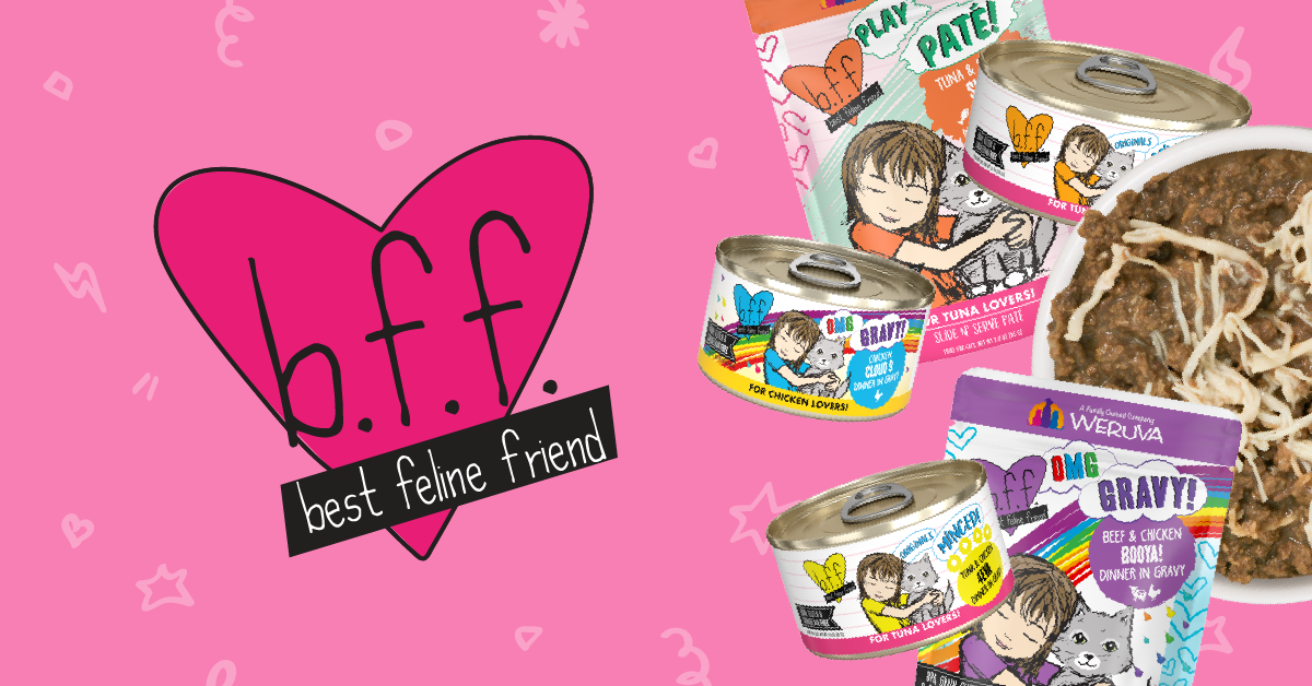 Feed Your Best Feline Friend The Best With BFF Cat Foods Weruva