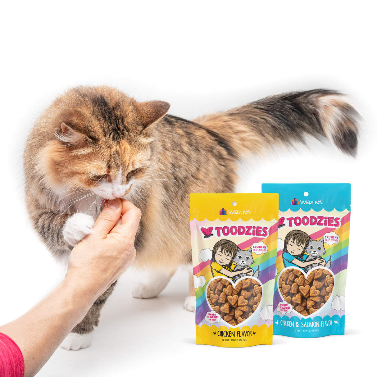 A fluffy cat enjoys a Chicken Flavor Crunchy Cat Treat from BFF Best Feline Friend, offered by hand. In front are two colorful bags—one yellow, one blue—each with a cartoon girl and cat.