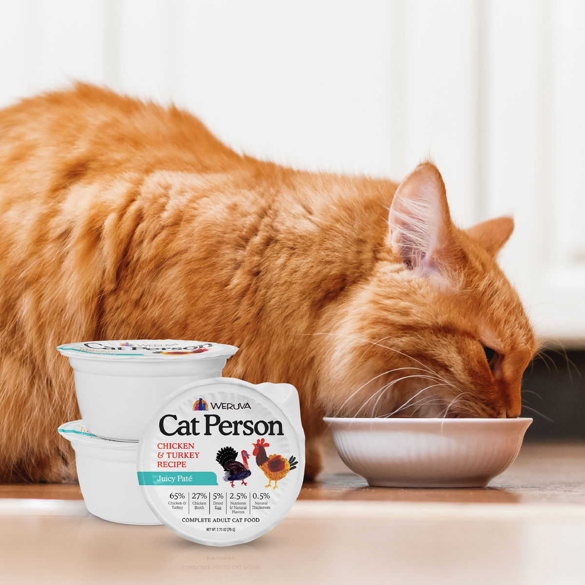 An orange cat eats high-quality protein from a small bowl beside a stack of three Salmon & Mackerel Juicy Paté containers.