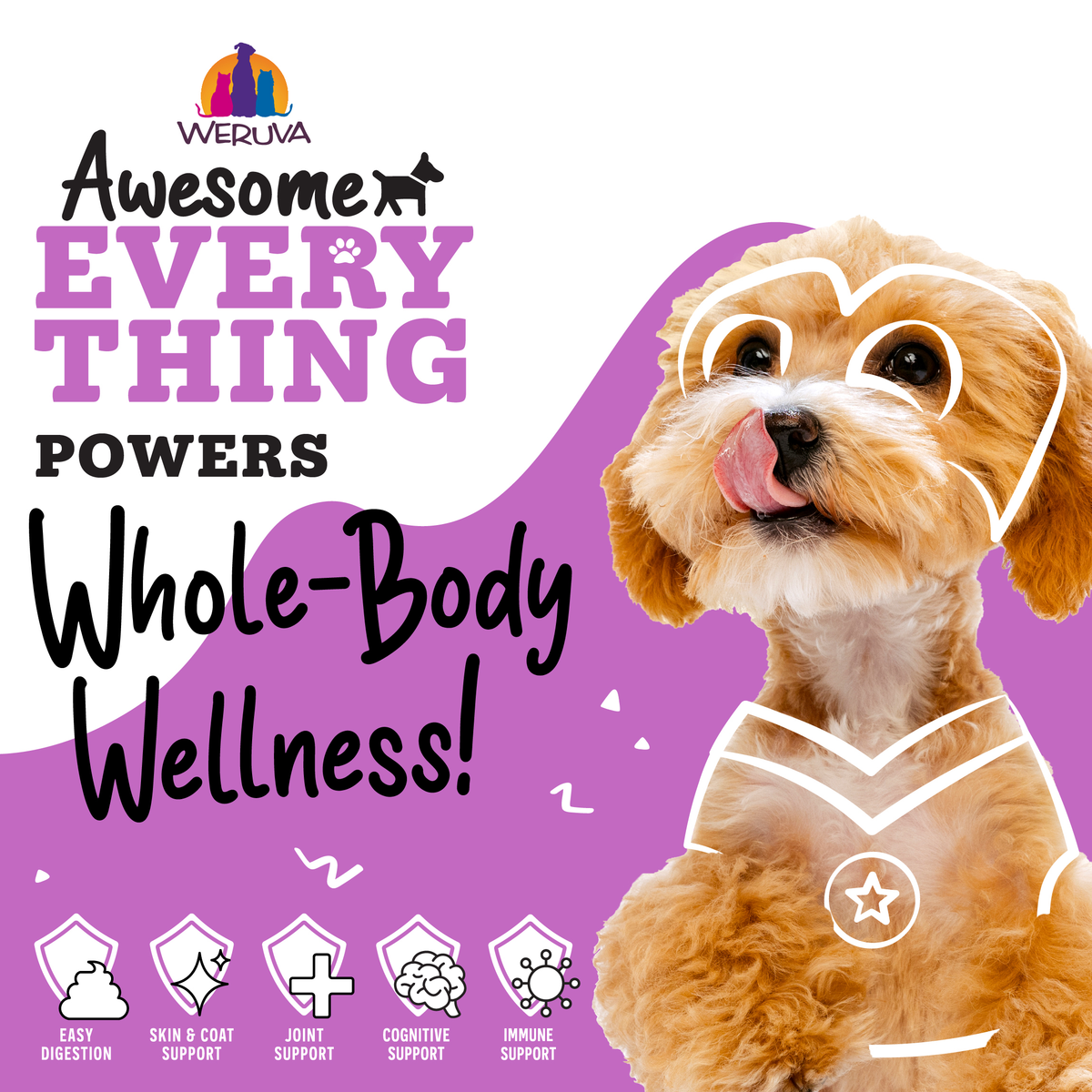 A small dog with white and brown fur sits on a purple background with white heart and star outlines. Text highlights Awesome Everything Hydration Hero Variety Pack’s digestion, skin, joint, cognition, immune, and hydration benefits.