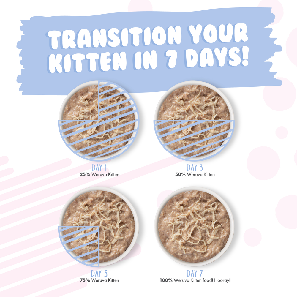 2685-Weruva Kitten Food Transition Image
