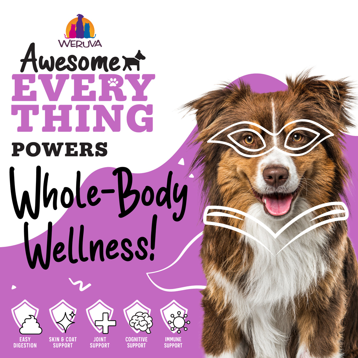 A happy dog with drawn-on glasses sits before a purple background. Text reads: Awesome Functions Awesome Everything Chicken Breast & Red Rice Recipe with Veggies powers whole-body wellness—digestive, skin, joint, cognitive & immune support!.