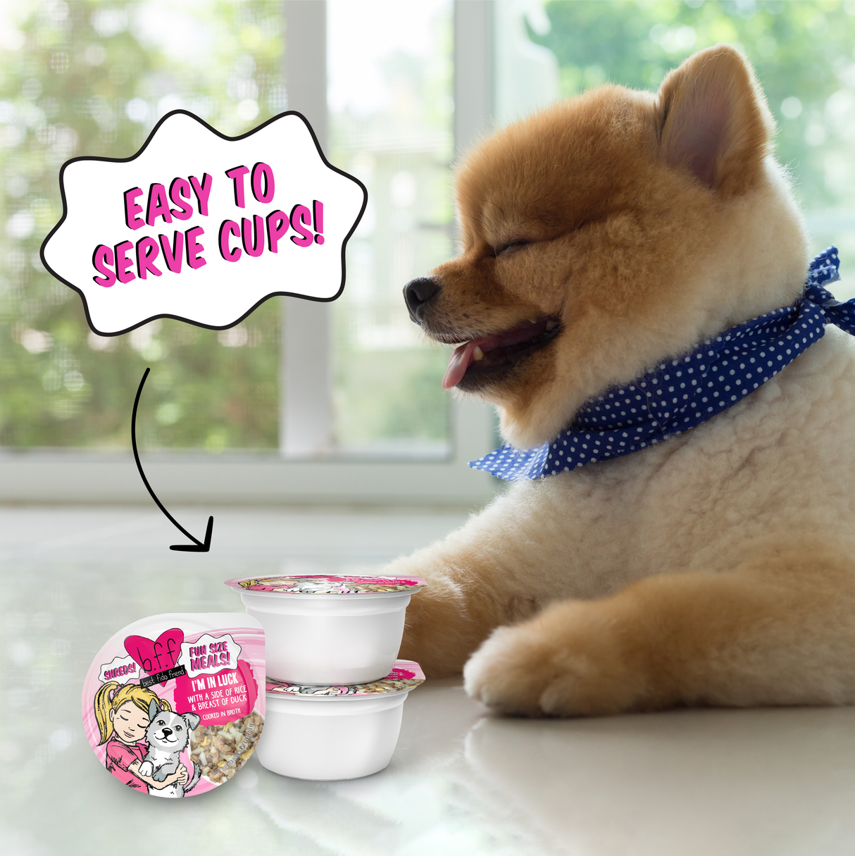 A fluffy brown dog in a blue polka dot bandana sits by two "I'm In Luck" single-serve cups from BFF Best Fido Friend. A speech bubble says, Easy to serve cups! The bright, window-lit room adds a cheerful touch.