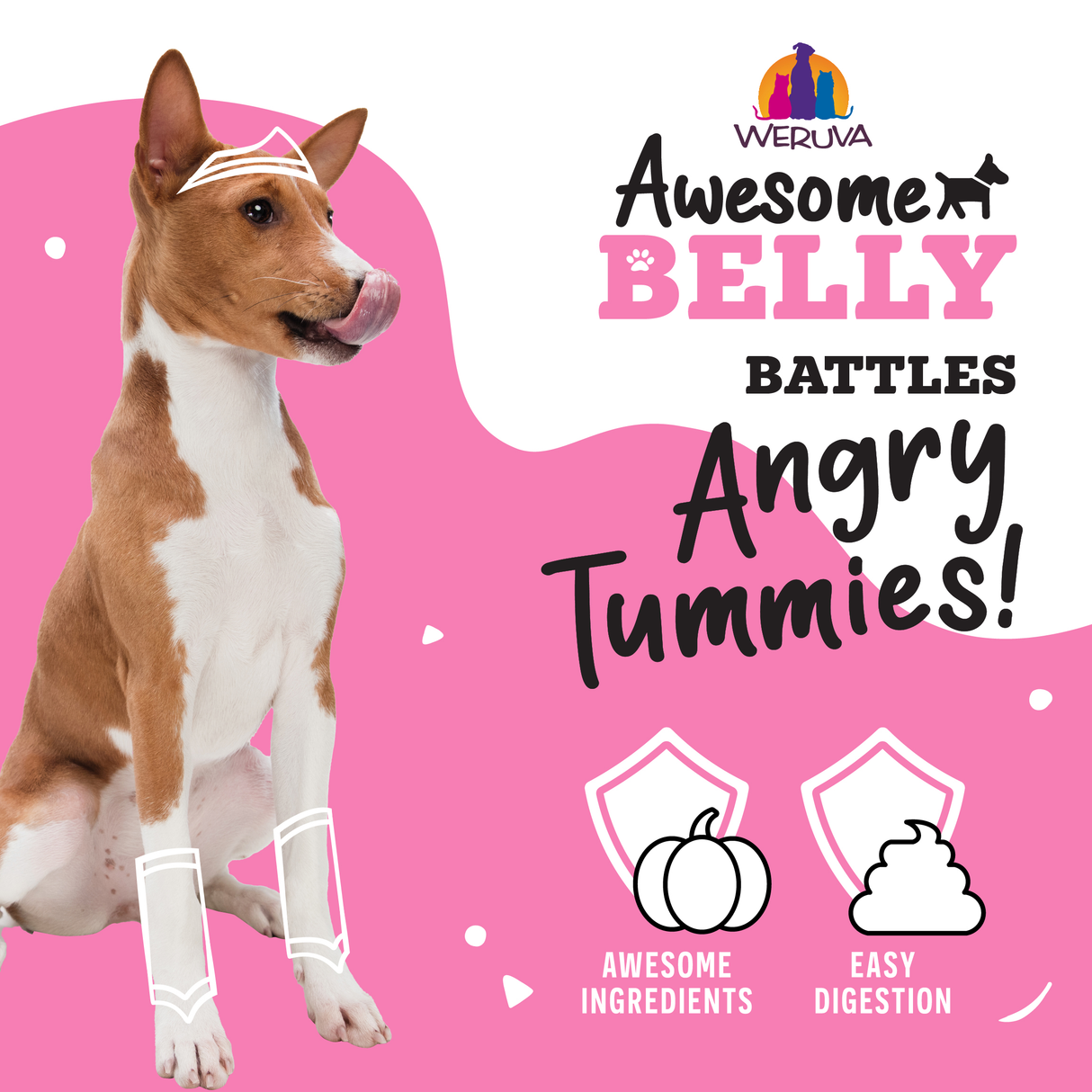 A dog in superhero gear sits on a pink background. Text: Awesome Functions Awesome Belly Beef, White Rice & Pumpkin battles angry tummies with grass-fed beef for smooth digestion—perfect for sensitive stomachs! Pumpkin and stomach icons shown.