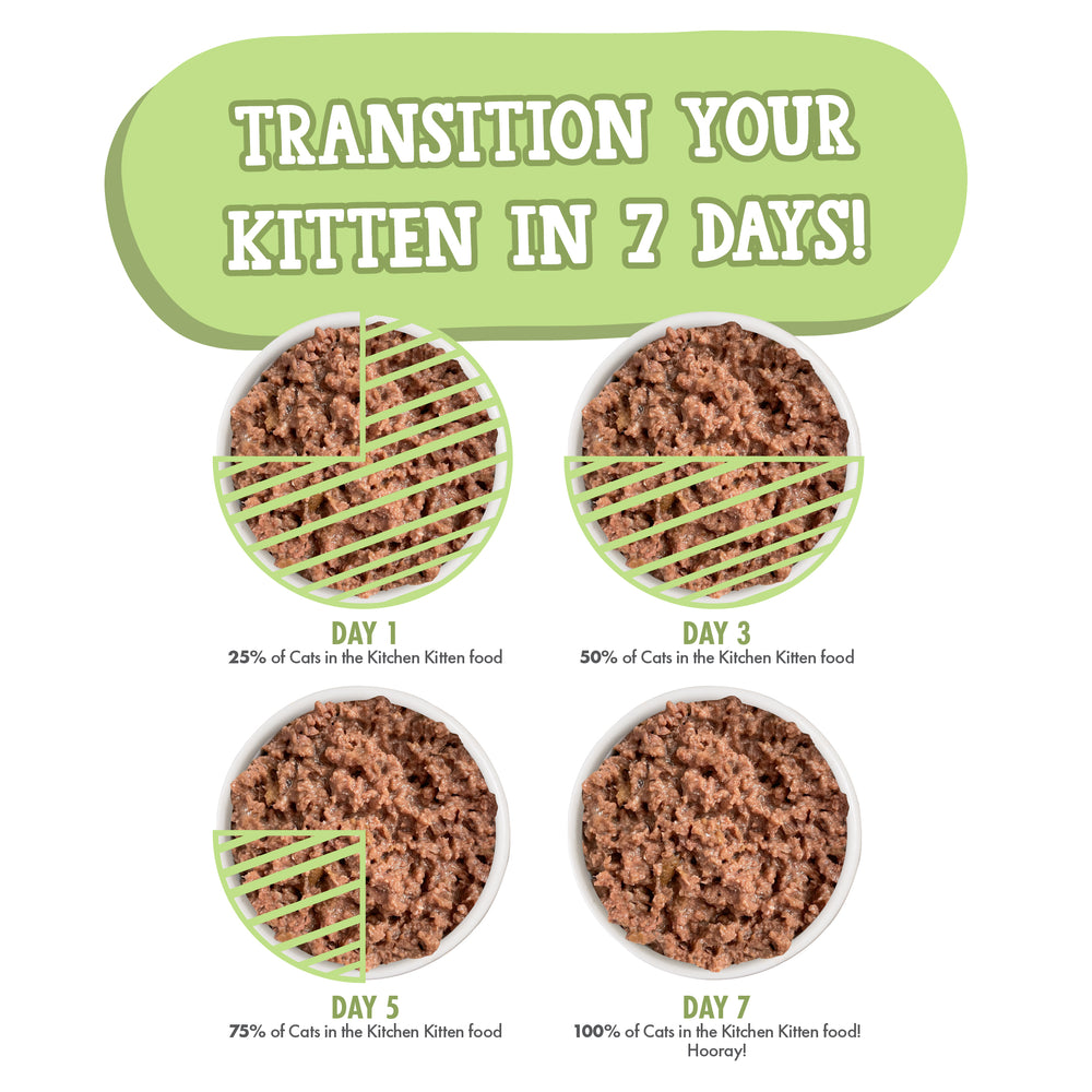 4221-810028244207_CITK_KITTEN_CANS_LAMBUR-KITTY_3.0OZ_V1R3_2300X2300_8.jpg