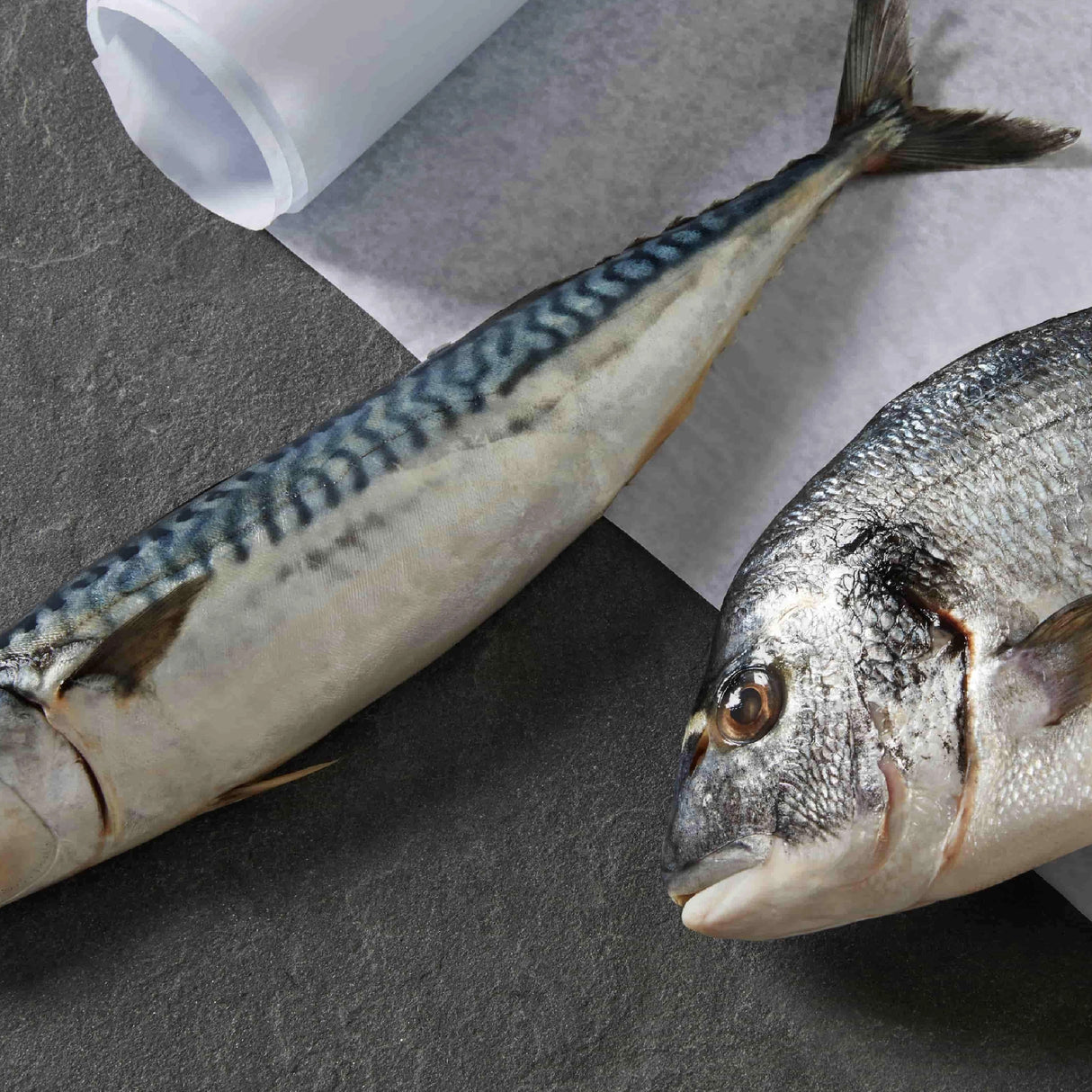 Two raw whole fish, inspiration for Cat Person’s Salmon & Mackerel Paté, rest on dark stone beside parchment—one displays a spotted pattern, while the other’s head and eye are visible, celebrating protein-rich cat nutrition.