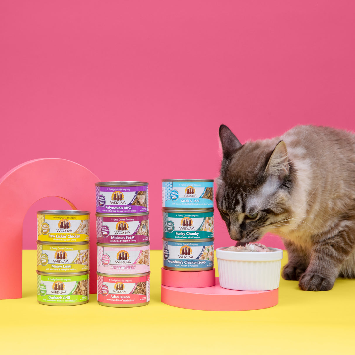 A cat enjoys Weruva’s Frisky Fishin' Friends—responsibly sourced, hand-flaked fish variety packs perfect for felines who love mealtime flavor.
