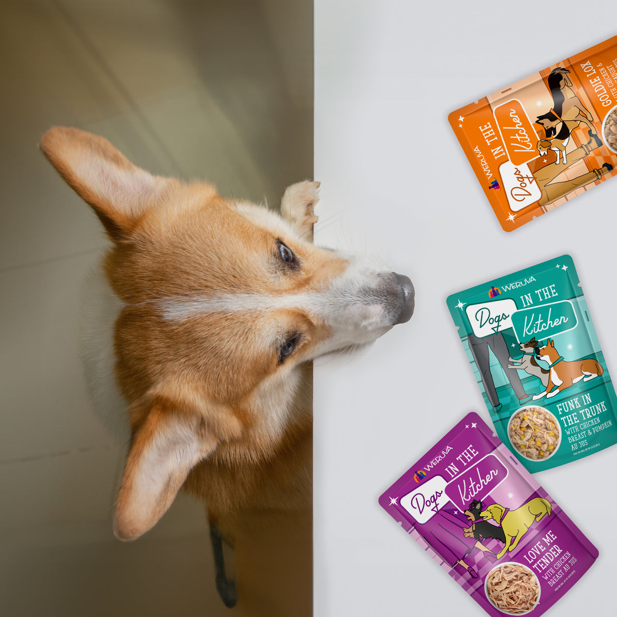 A corgi stands on its hind legs, peeking over a white surface at three colorful Dogs in the Kitchen Fowl Ball pouches—high-protein dog food, perfect for picky eaters—lying nearby.