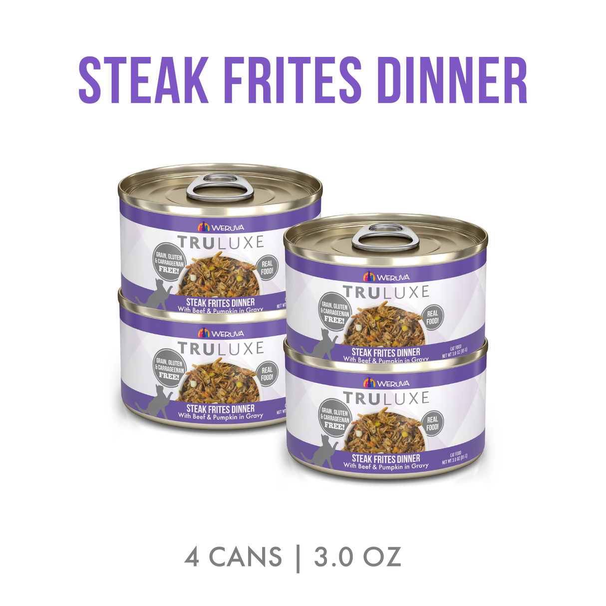 8793-810028248670 Steak Frites Dinner 4pk