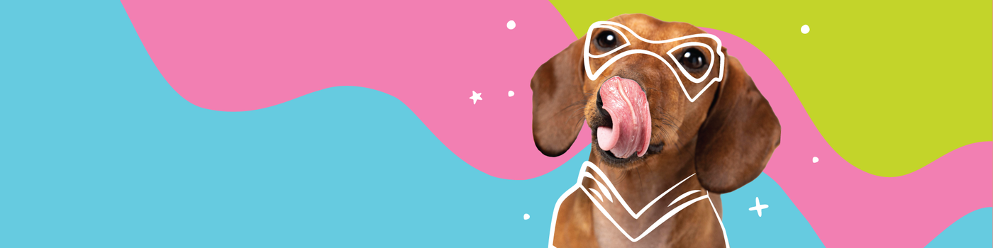 A brown dog with its tongue out is overlaid with playful white line art glasses and a shirt, set against a colorful, abstract background of blue, pink, and green swirls with white star accents.
