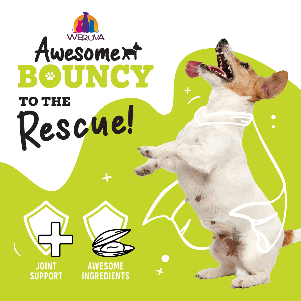 A small dog in a superhero cape stands on its hind legs by a green and white background with text: Awesome Functions Awesome Bouncy Chicken Breast & Riceberry Recipe with Turmeric & Ginger, highlighting joint support from green-lipped mussel.