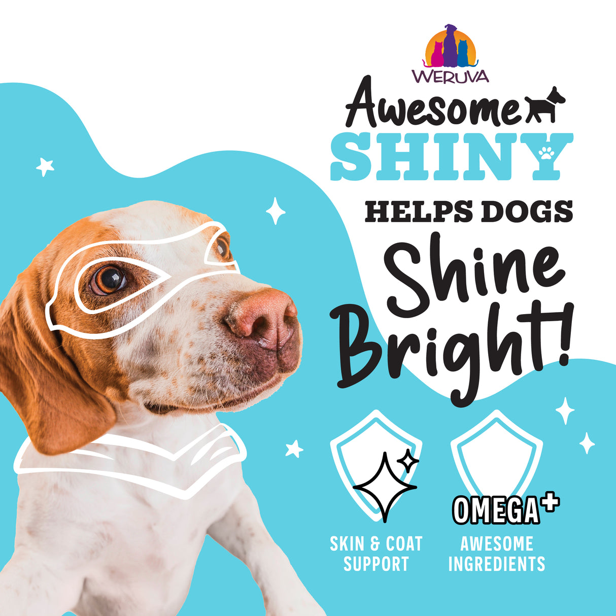 A dog with drawn-on superhero goggles and cape sits next to text promoting Awesome Functions Awesome Shiny Chicken Breast & Brown Rice Recipe with Veggies & Flaxseed, highlighting skin and coat health, superfoods, Omega+, and quality ingredients on a blue background.
