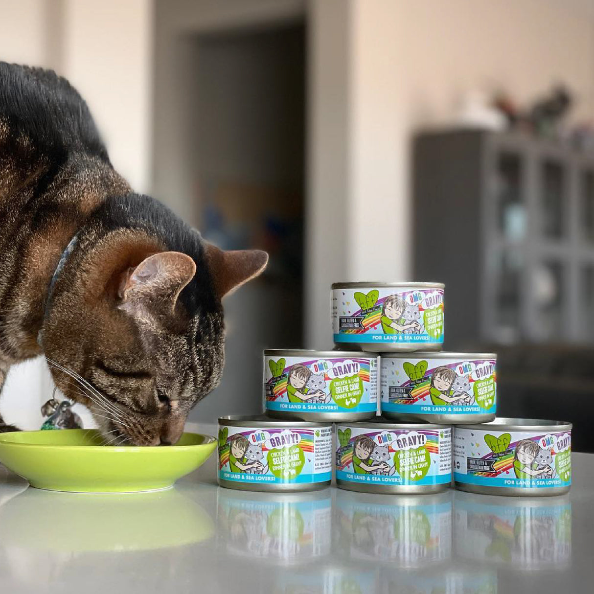A brown tabby cat eats from a green bowl on a table. Beside the cat, six stacked cans of BFF Best Feline Friend Tuna & Salmon Start Me Up wet food are displayed, with a blurred kitchen in the background.