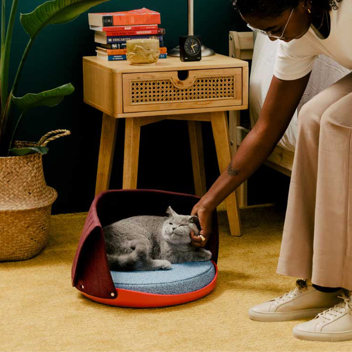 A person pets a gray cat lying in the Weruva Canopy Bed, a modern 3-in-1 pet bed perfect for small to medium-sized pets, placed beside a wooden nightstand in a room with a green wall and yellow carpet.