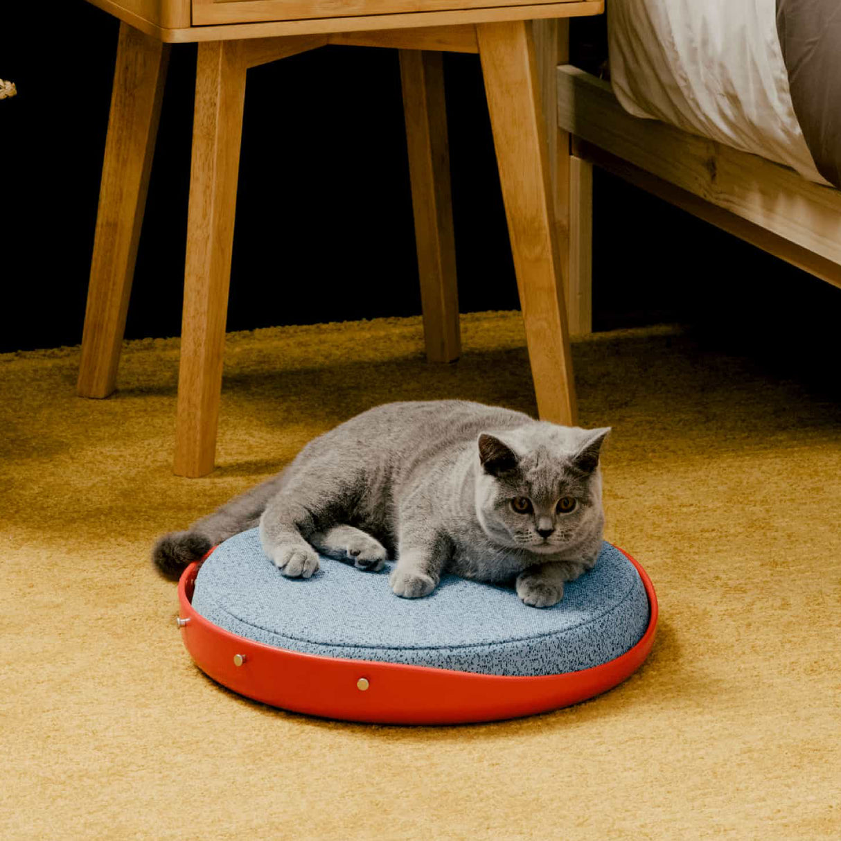 A gray cat lounges on a Weruva Canopy Bed, featuring a blue top and red base, set on a yellow carpet beside a wooden nightstand and bed.