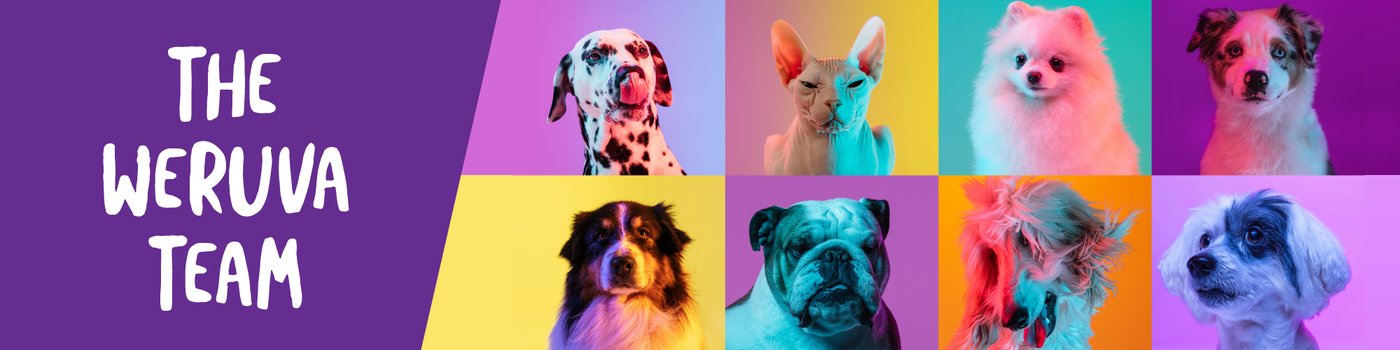 A colorful collage of eight different dogs and a cat, each in a square with vibrant backgrounds. Text on a purple section reads, The Weruva Team.