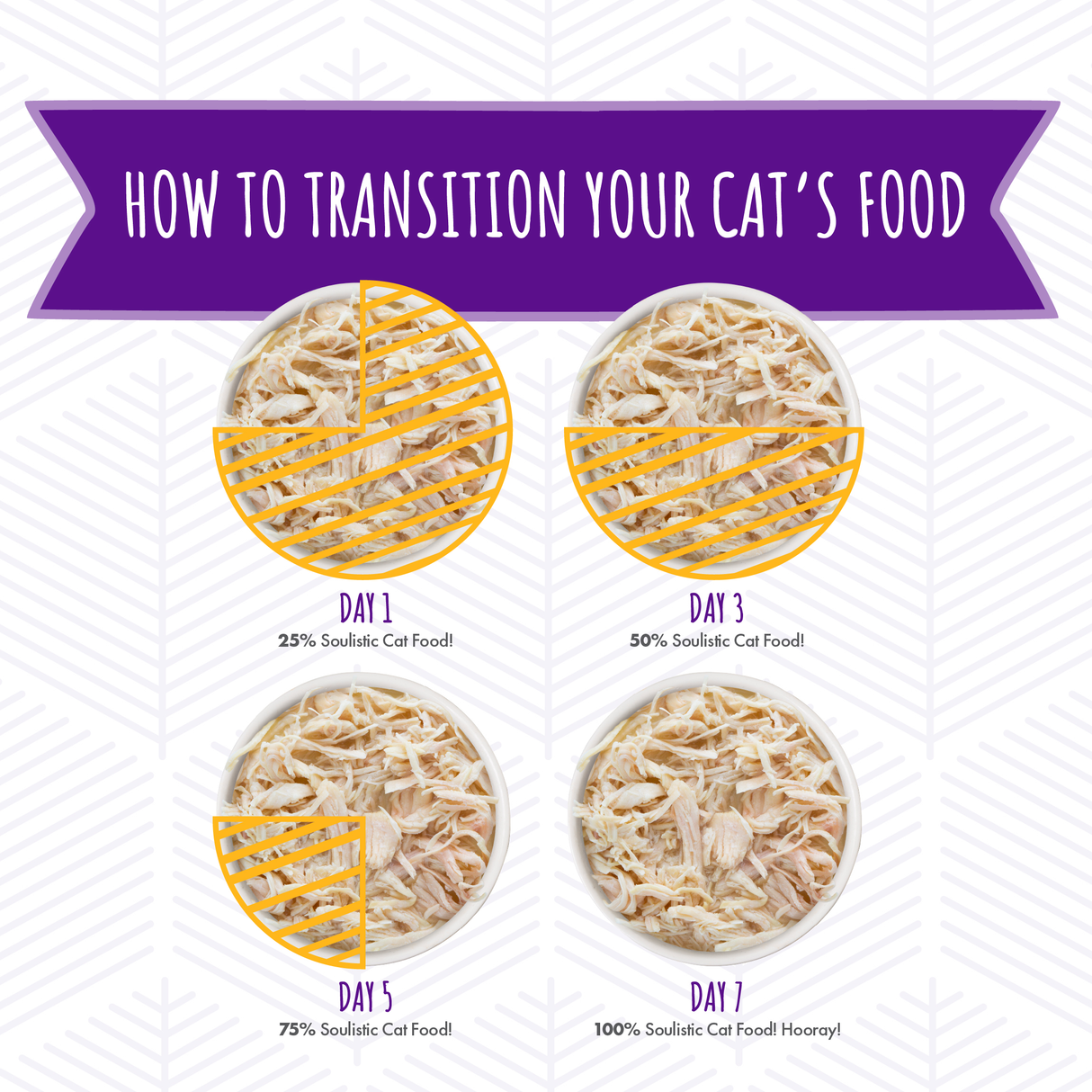 P0003-Soulistic Original Pouch Transition