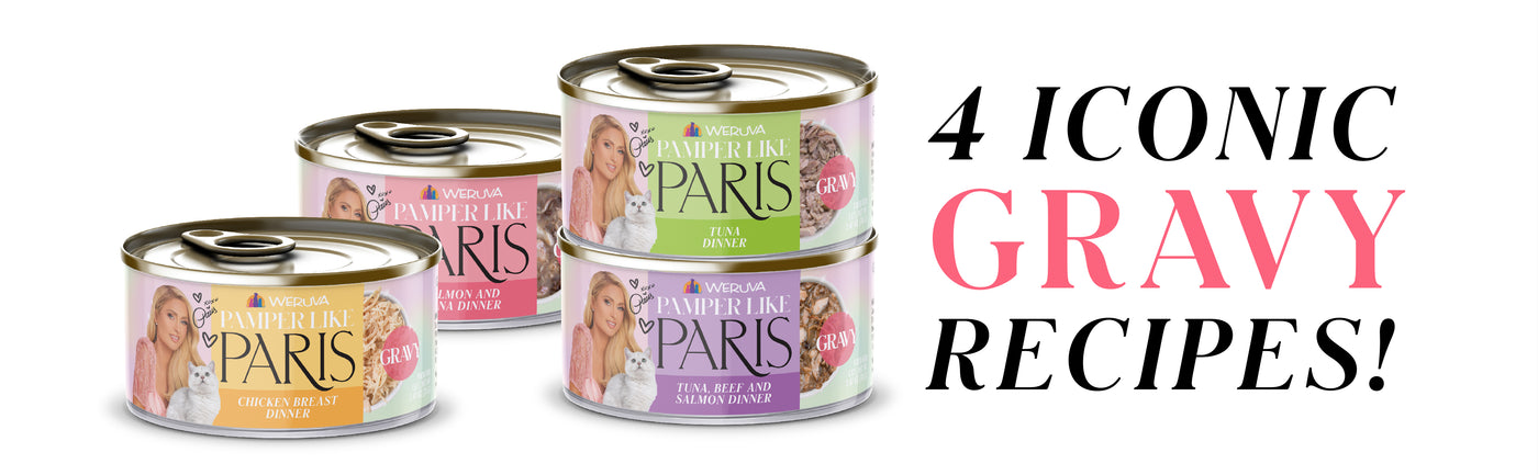 Four cans of Weruva Pamper in Paris cat food flavors are stacked next to bold text that reads “4 ICONIC GRAVY RECIPES!” on a white background.
