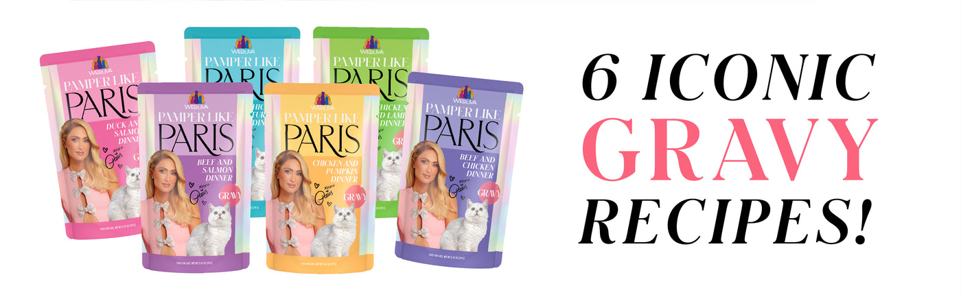 Six colorful pouches of Pamperin’ in Paris cat food are displayed next to bold text that reads “6 Iconic Gravy Recipes!” The packages feature images of cats and women, with various flavors indicated.