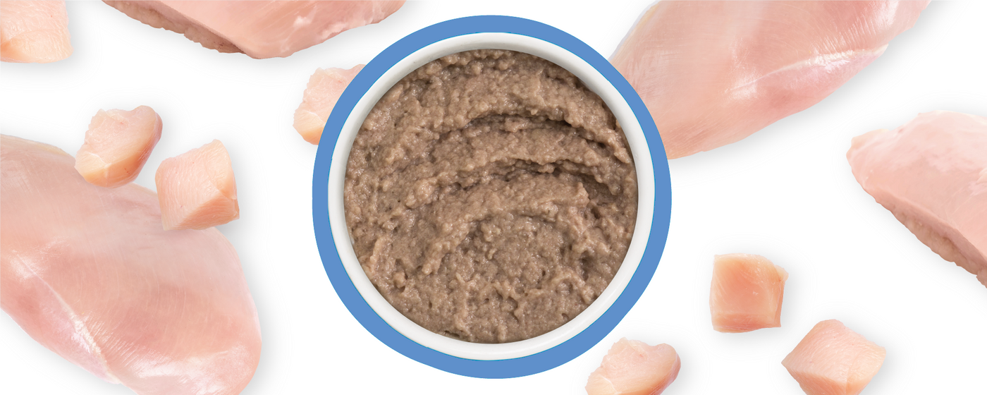 A bowl of brown, pureed food is surrounded by raw chicken breasts and chicken pieces on a white background.