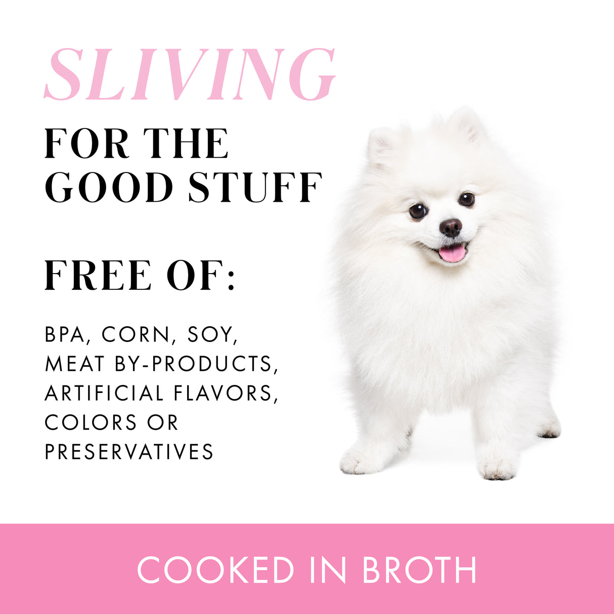 A white fluffy dog stands on a white background beside text about Weruva Chicken Dinner with Rice and Pumpkin, Sliving for the good stuff with pumpkin and cage-free chicken. Free of BPA, corn, soy, artificial flavors. Cooked in Broth is shown below.