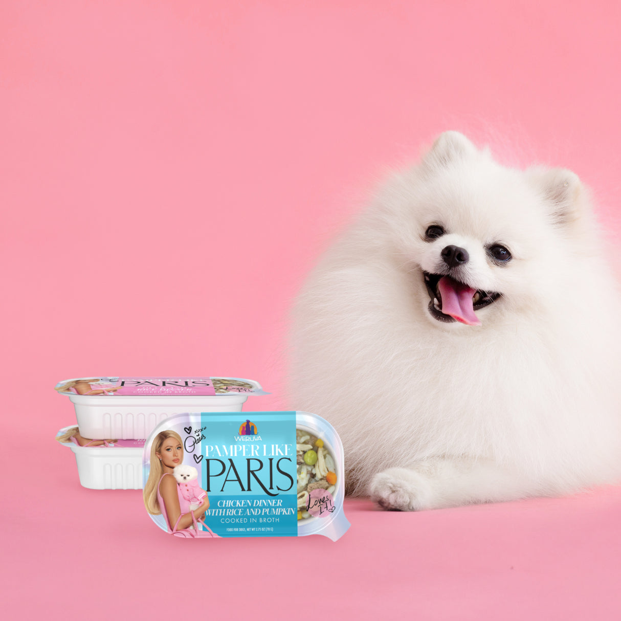 A fluffy white Pomeranian sits on a pink background next to containers of Weruva Chicken Dinner with Rice and Pumpkin dog meal, featuring packaging with a blonde woman and dog, promising a nutritious treat your pup will love.