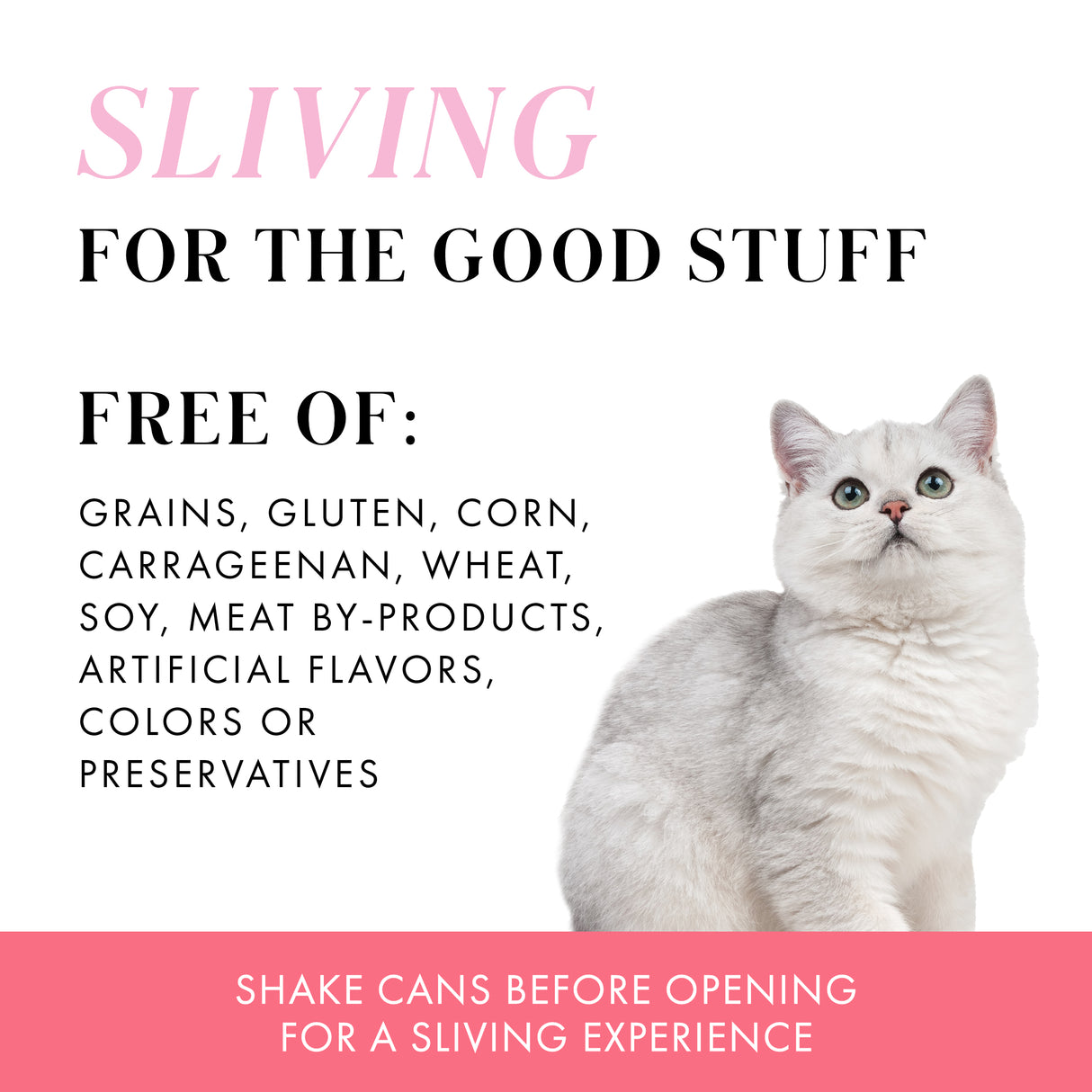 A white cat sits on the right beside text promoting Weruva's Salmon and Tuna Dinner in Gravy, featuring wild-caught salmon and free from grains, gluten, corn, wheat, soy, carrageenan, meat by-products, and artificial additives.