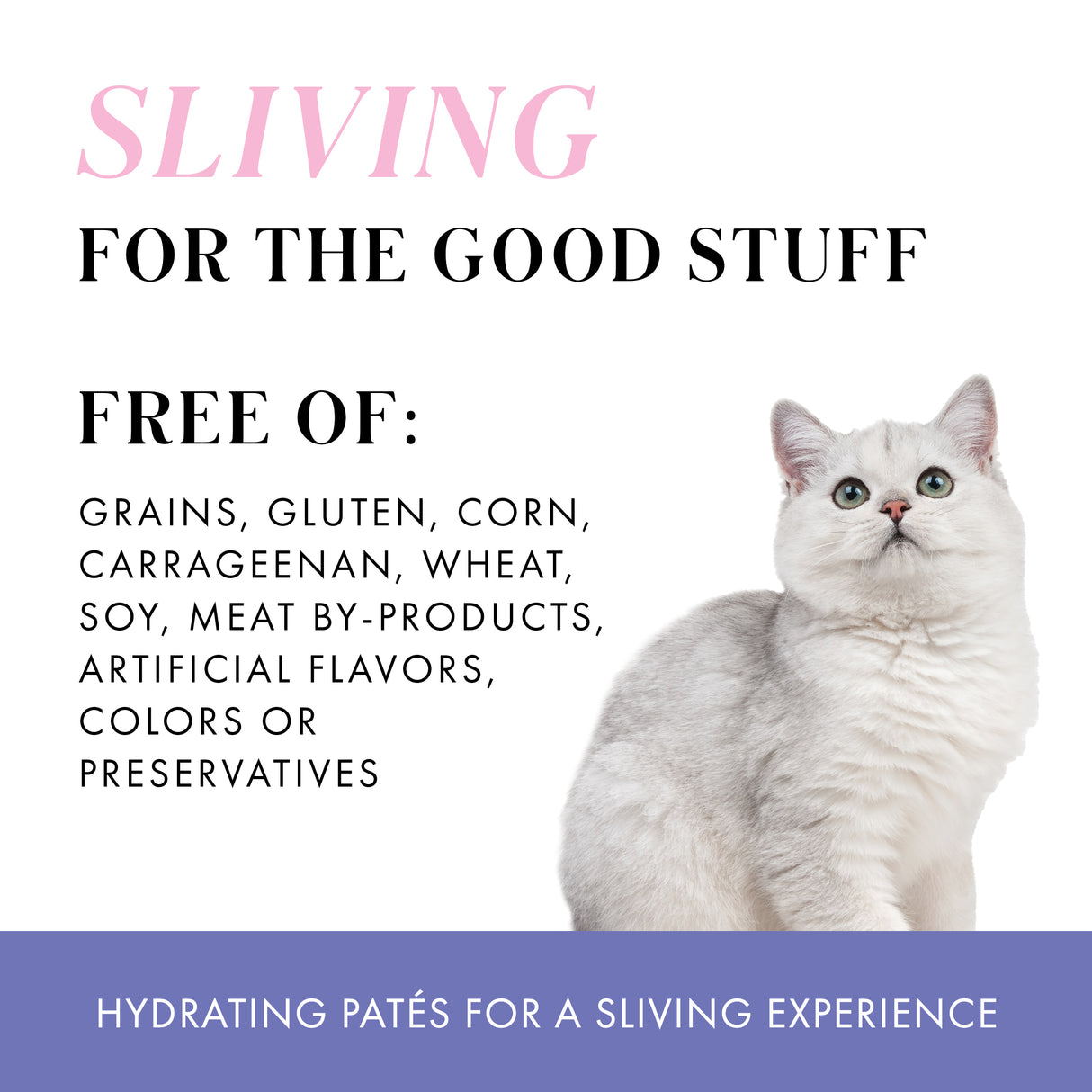 A white cat looks up beside the text: SLIVING FOR THE GOOD STUFF. Weruva's Slay The Paté, made with cage-free chicken and wild-caught salmon, is a hydrating, grain-free paté without corn, wheat, soy or artificial additives.