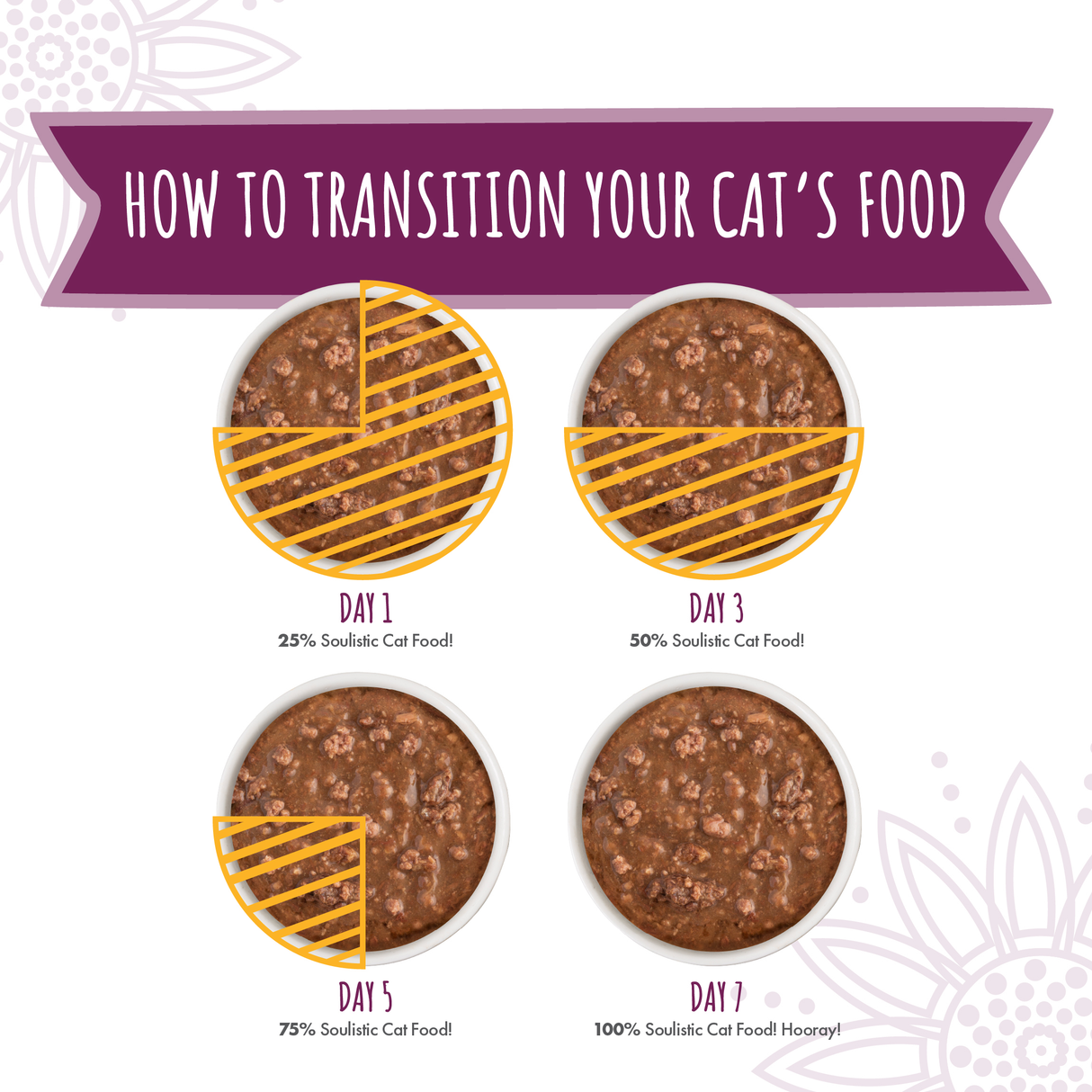 A graphic titled How to Transition Your Cat’s Food shows four bowls with increasing amounts labeled Day 1 (25%), Day 3 (50%), Day 5 (75%), and 100% Soulistic Beef Dinner in Gravy, made with high-quality protein from deboned beef and wild-caught tuna.