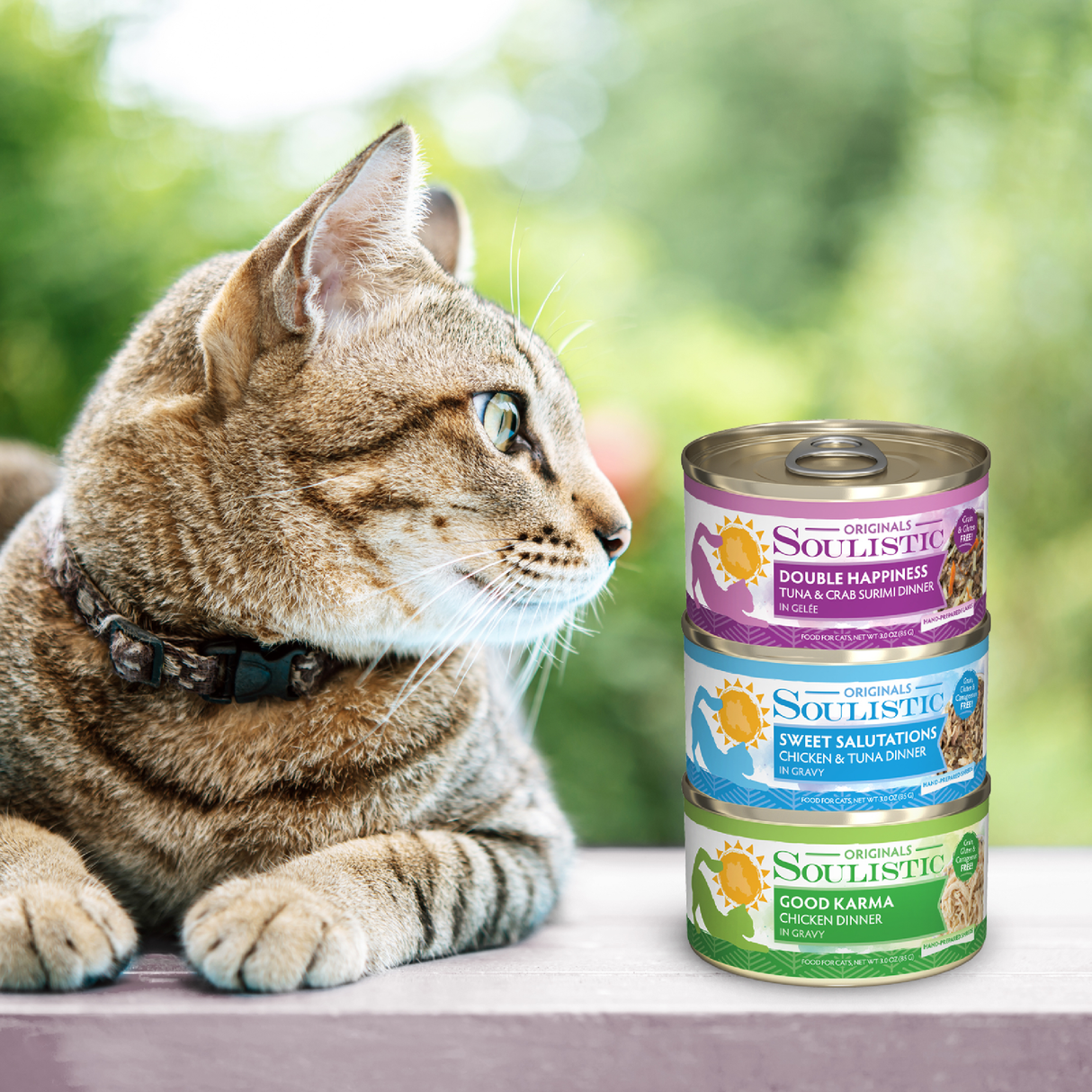 A tabby cat lounges outdoors, eyeing a stack of three Soulistic Serene Selections high-protein cat food cans—tuna & crab, chicken & tuna, and chicken—each boasting flavorful options for your feline friend.
