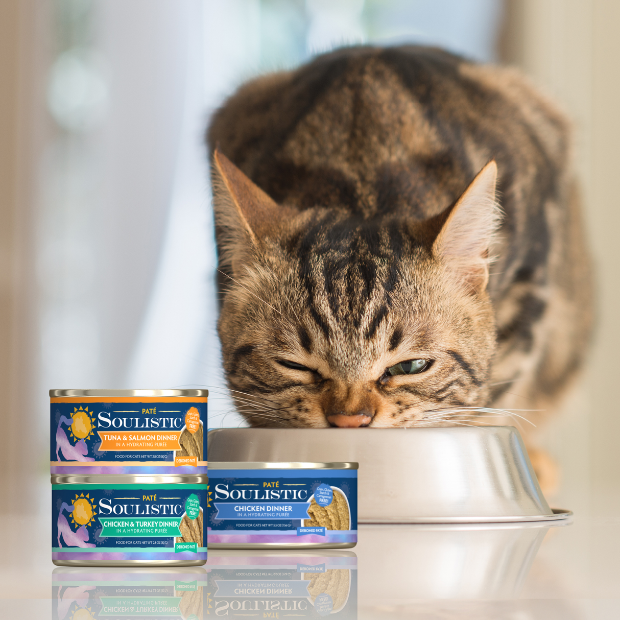 A tabby cat enjoys Soulistic Chicken Dinner in a Hydrating Purée from a metal bowl beside three stacked cans, with a blurred indoor background.