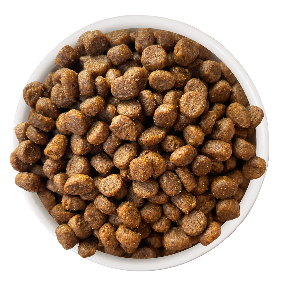 Salmon & Tuna Dry Food