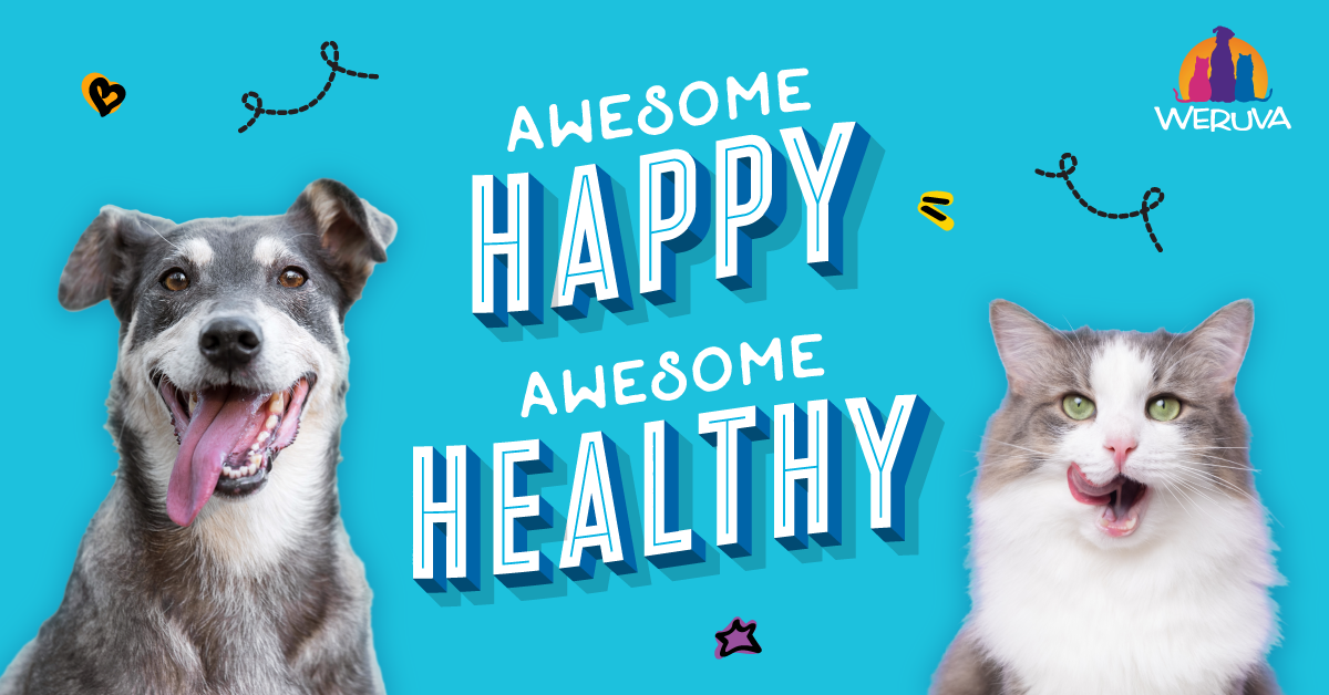 Weruva | A Family Owned Company