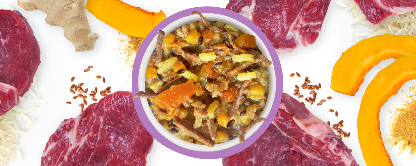 A bowl of mixed food with shredded meat, carrots, and vegetables is surrounded by raw beef slices, rice, pumpkin slices, ginger root, and flax seeds on a white background.