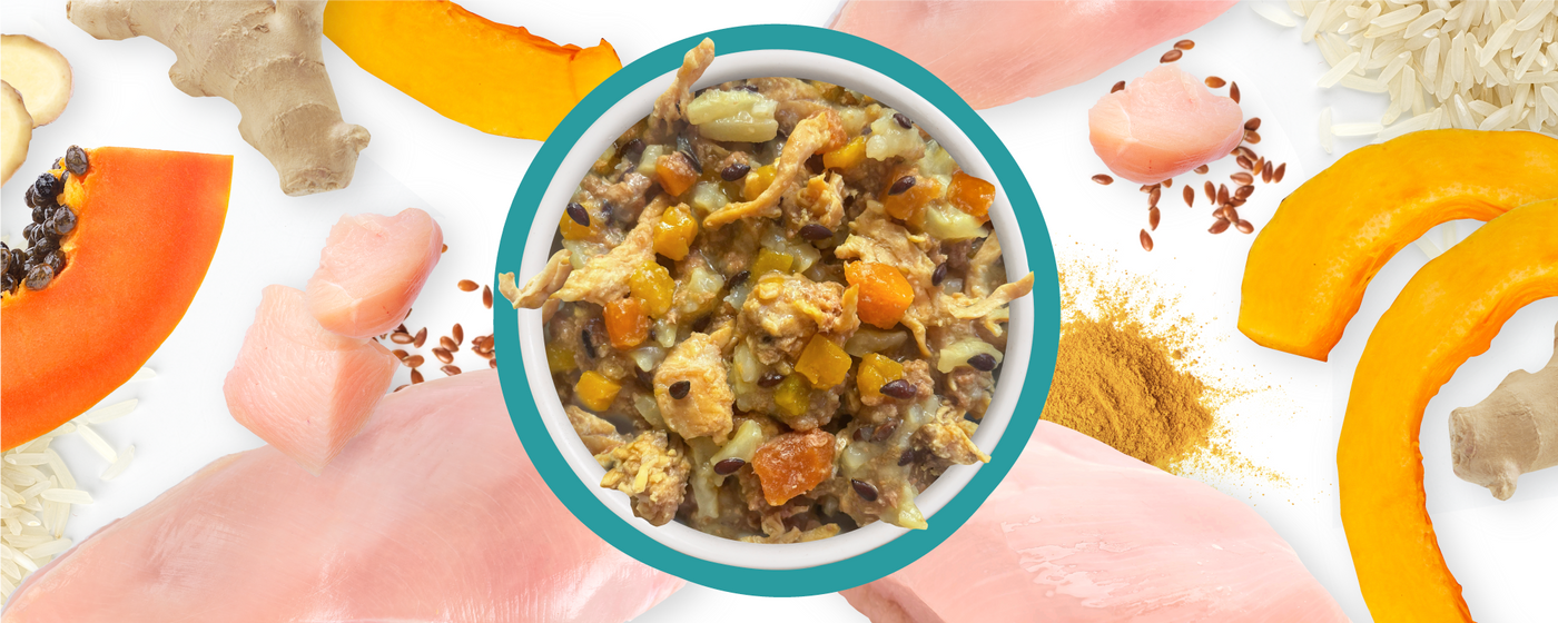 A bowl of mixed food with visible chunks of vegetables and grains is surrounded by raw chicken breast, sliced pumpkin, rice, ginger, papaya, flax seeds, and a pile of ground spice on a white background.