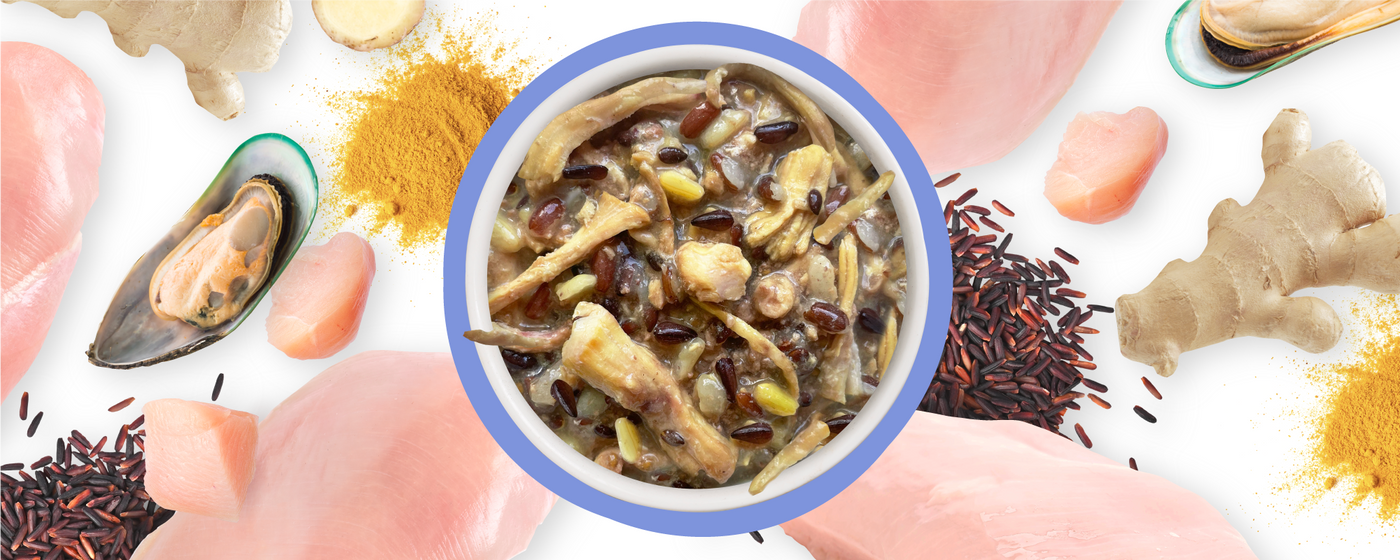 A bowl of pet food with visible chunks of chicken, rice, and vegetables, surrounded by raw chicken, mussels, ginger, turmeric powder, and grains on a white background.