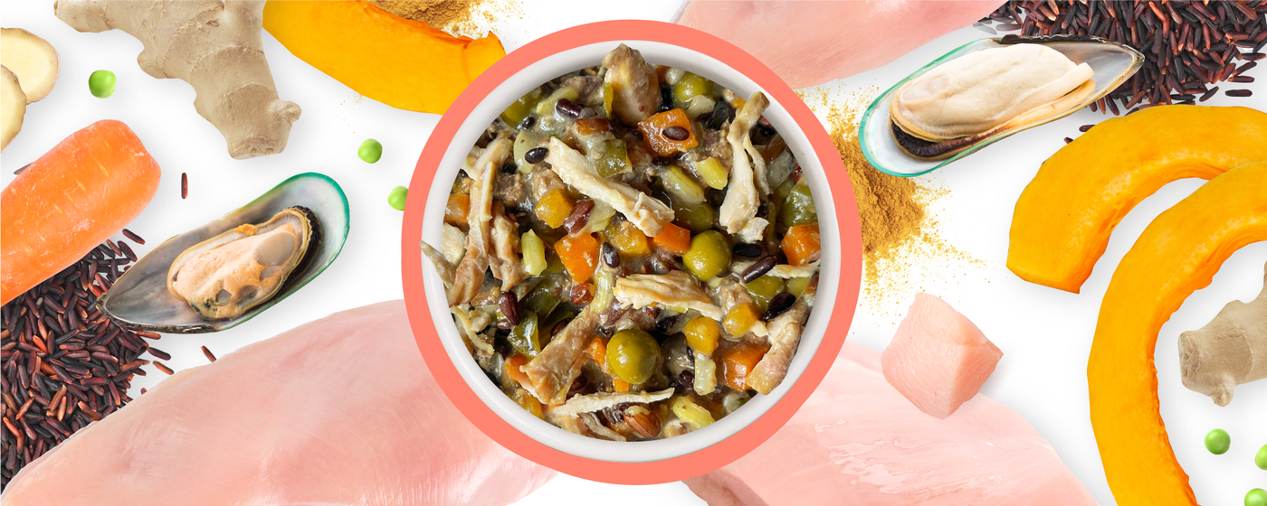 A bowl of mixed pet food with peas, carrots, rice, and shredded meat is surrounded by fresh ingredients: mussels, pumpkin, ginger, chicken, salmon, peas, and rice on a white background.