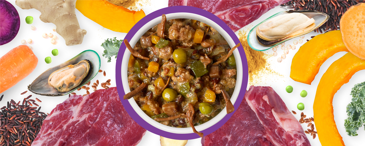 A bowl of chunky pet food with vegetables and meat pieces is surrounded by raw ingredients, including mussels, raw meat, carrots, pumpkin, sweet potato, kale, rice, ginger, and peas, arranged on a white background.