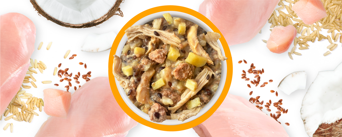 A bowl of shredded chicken, rice, and diced vegetables is surrounded by raw chicken breasts, grains of rice, coconut pieces, and seeds on a white background.