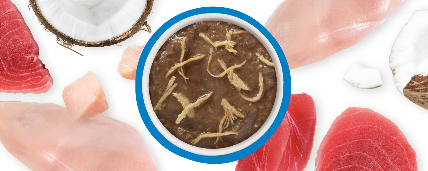 A bowl of shredded meat in a brown sauce surrounded by pieces of raw tuna, chicken, and coconut on a white background.