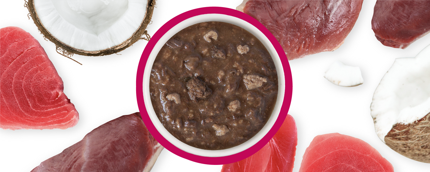 Food Bowl With Ingredients Used Scattered Around It