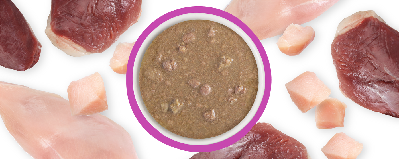 A bowl of wet pet food surrounded by raw chunks and fillets of red and white meat on a white background.