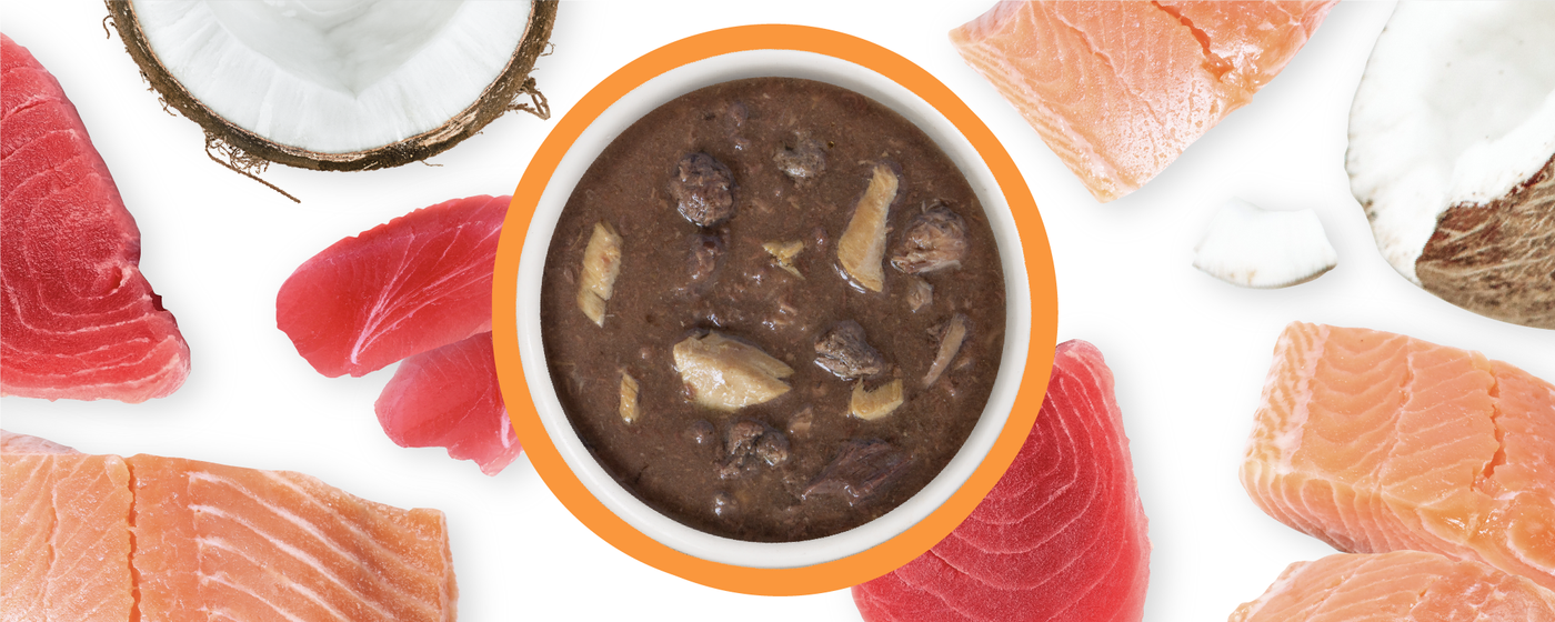 A bowl of chunky wet pet food is surrounded by pieces of raw salmon, tuna, and halved coconut on a white background.