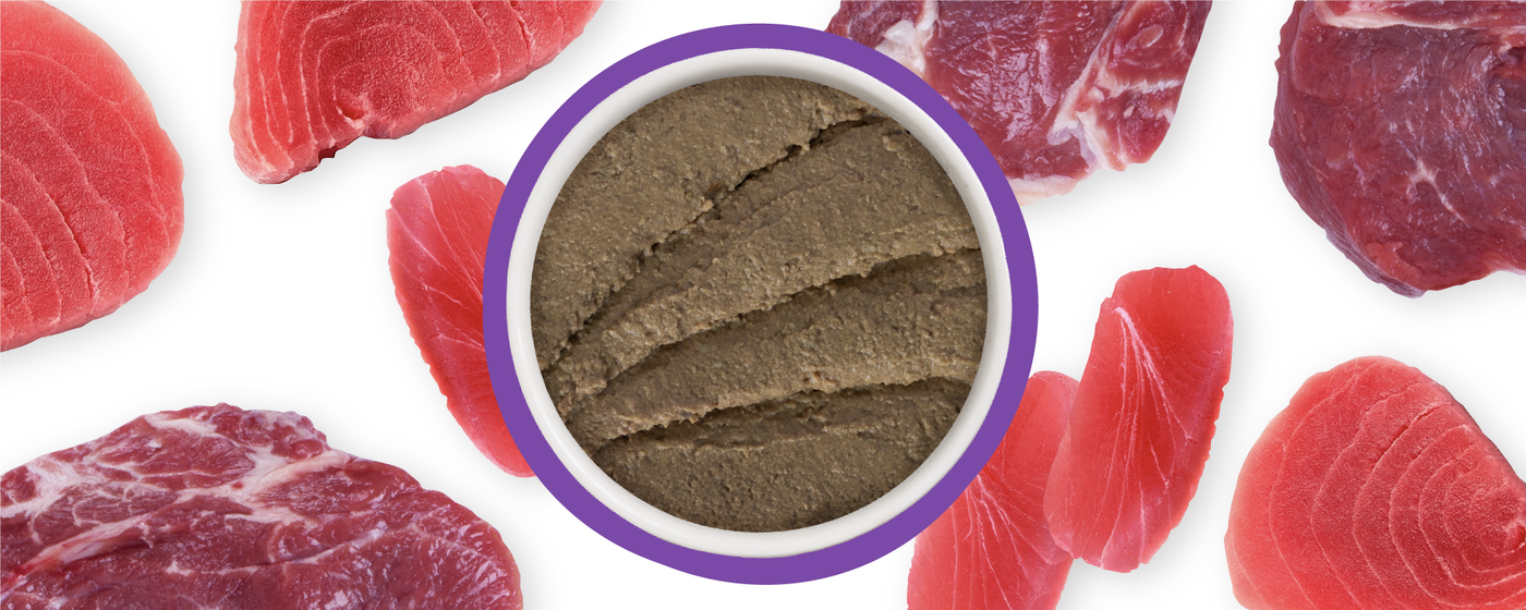 Food Bowl With Ingredients Used Scattered Around It