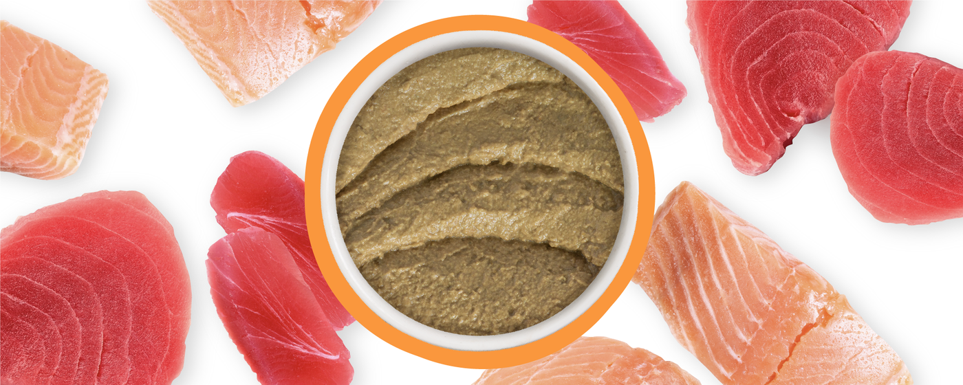 Food Bowl With Ingredients Used Scattered Around It