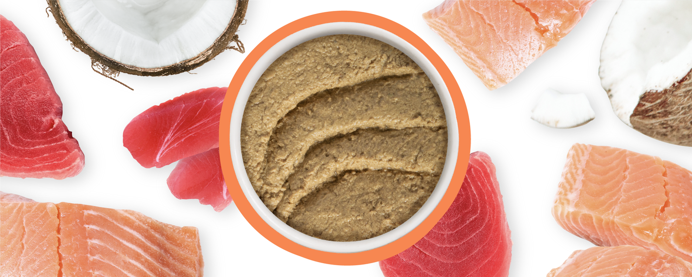 Food Bowl With Ingredients Used Scattered Around It